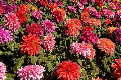 《地狱之刃2》开发取得进展 或已可以完整通关